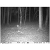 FOXcam Forester CZ